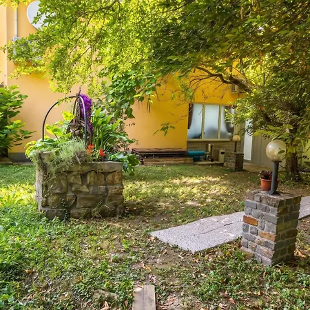 Paradise Forest Glamping Near Hotel