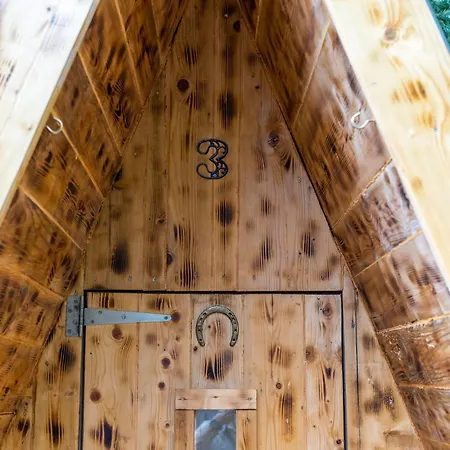 Paradise Forest Glamping Near Hotel