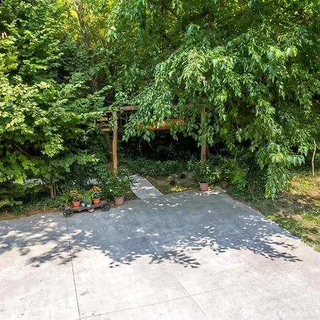 Paradise Forest Glamping Near *