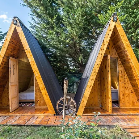 Paradise Forest Glamping Near Hotel