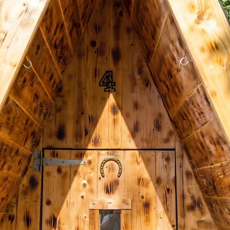 Paradise Forest Glamping Near Hotel