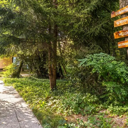 Paradise Forest Glamping Near *