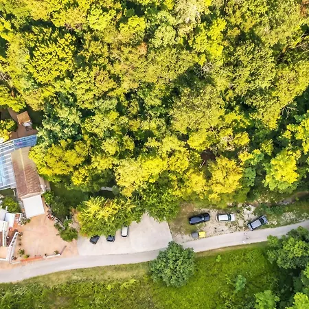 Paradise Forest Glamping Near Koper